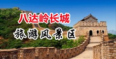 免费观看女人屄中国北京-八达岭长城旅游风景区